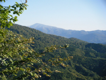 02月山.jpg