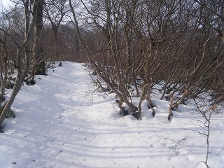 04すぐに雪道へ.jpg