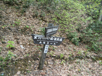 04分岐.jpg