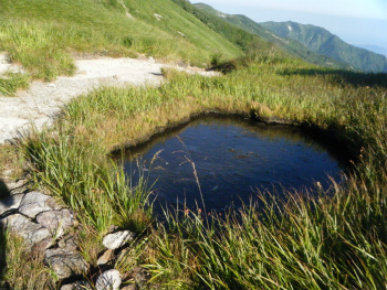 07地糖復活.jpg