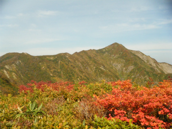 07障子ヶ岳.jpg