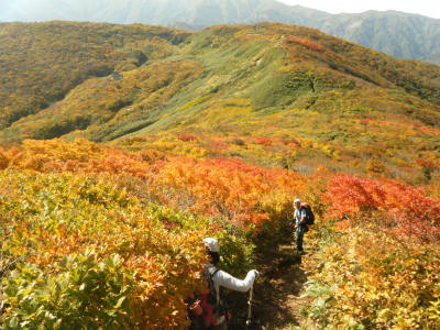 08紅葉を行く.jpg