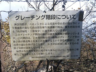 14グレーチング階段.jpg