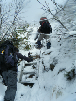 DSCF2584.jpg
