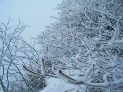 DSCF2587.jpg