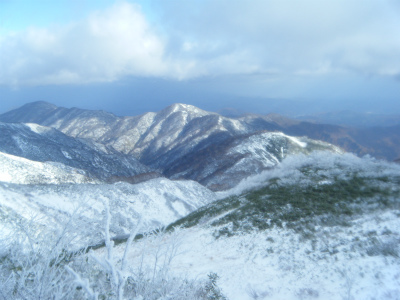 DSCF2600.jpg