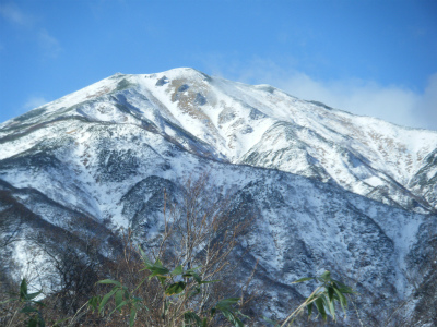 DSCF2623.jpg