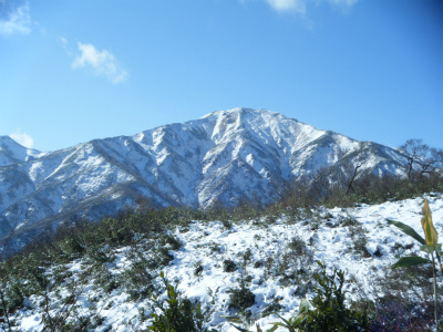 DSCF2631.jpg