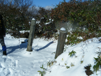 DSCF2632.jpg