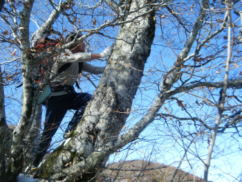 DSCF2636.jpg