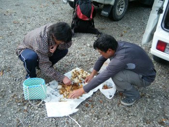 DSCF2641.jpg